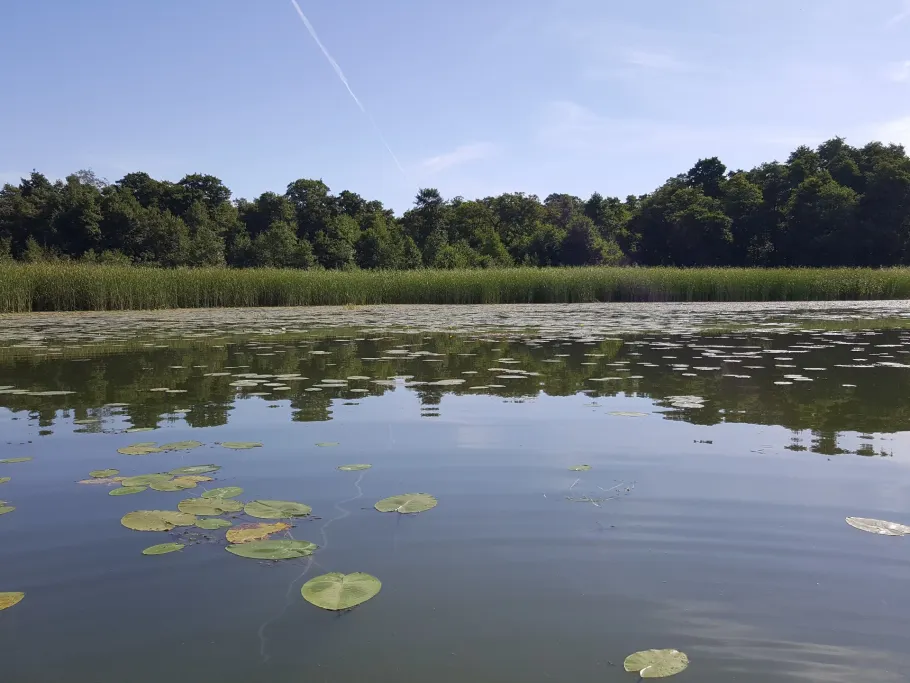 Jezioro Wadąg angeln