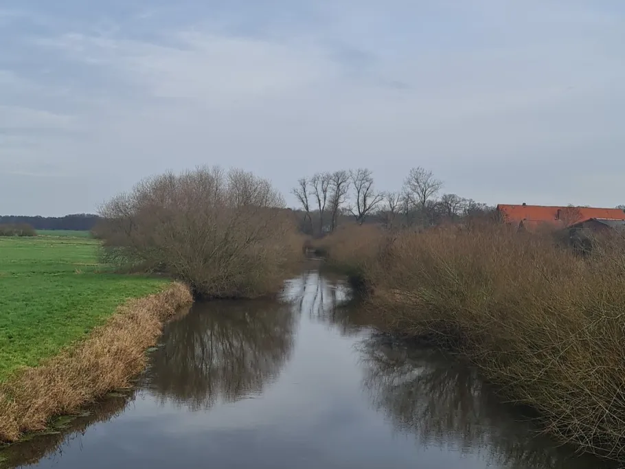 Oste (Minstedt) angeln