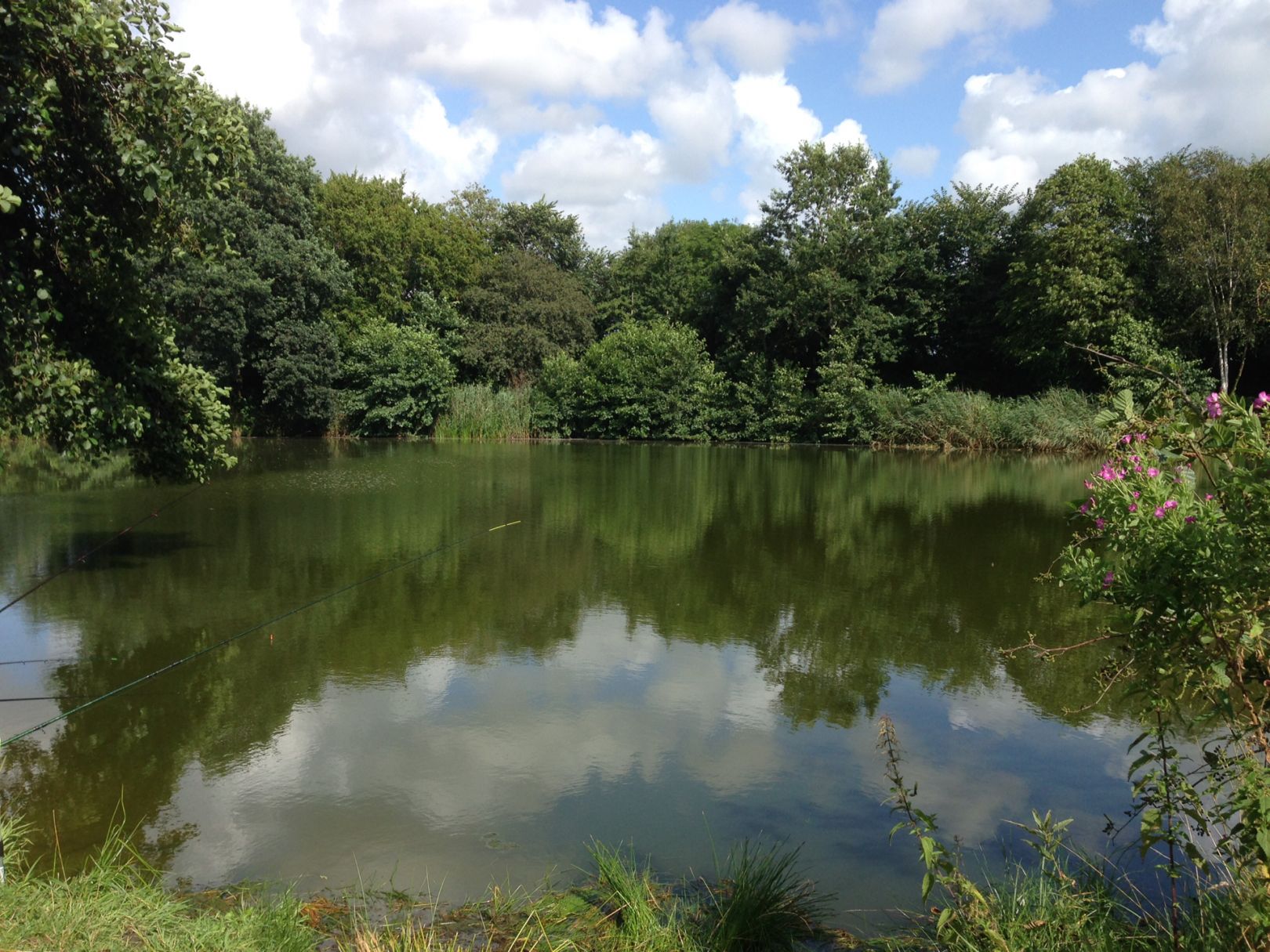 Kleine Wehle (Niebüll) angeln