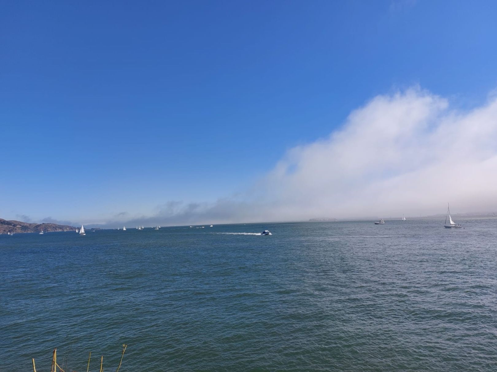 San Francisco Bay angeln