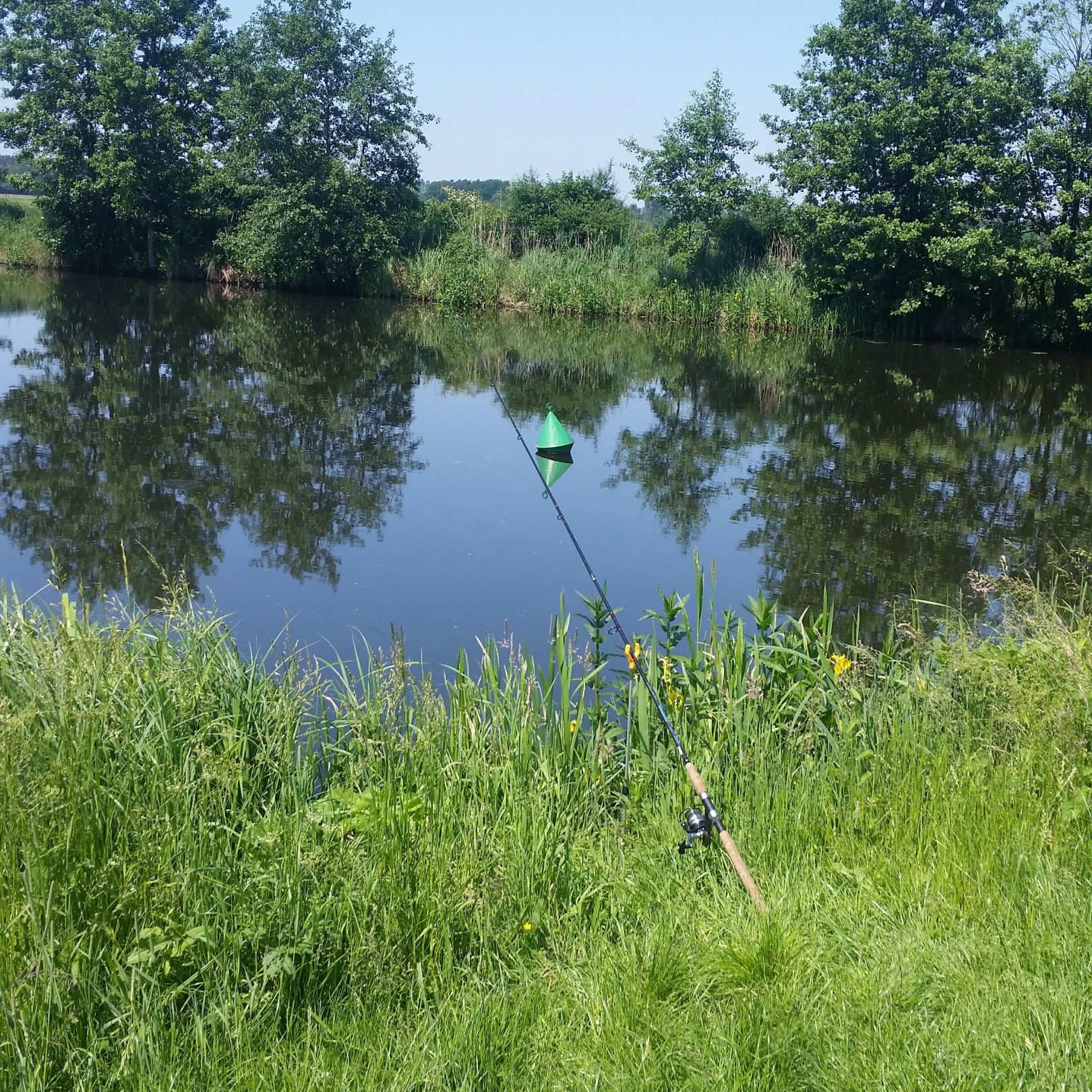 Eldekanal in der Lewitz angeln