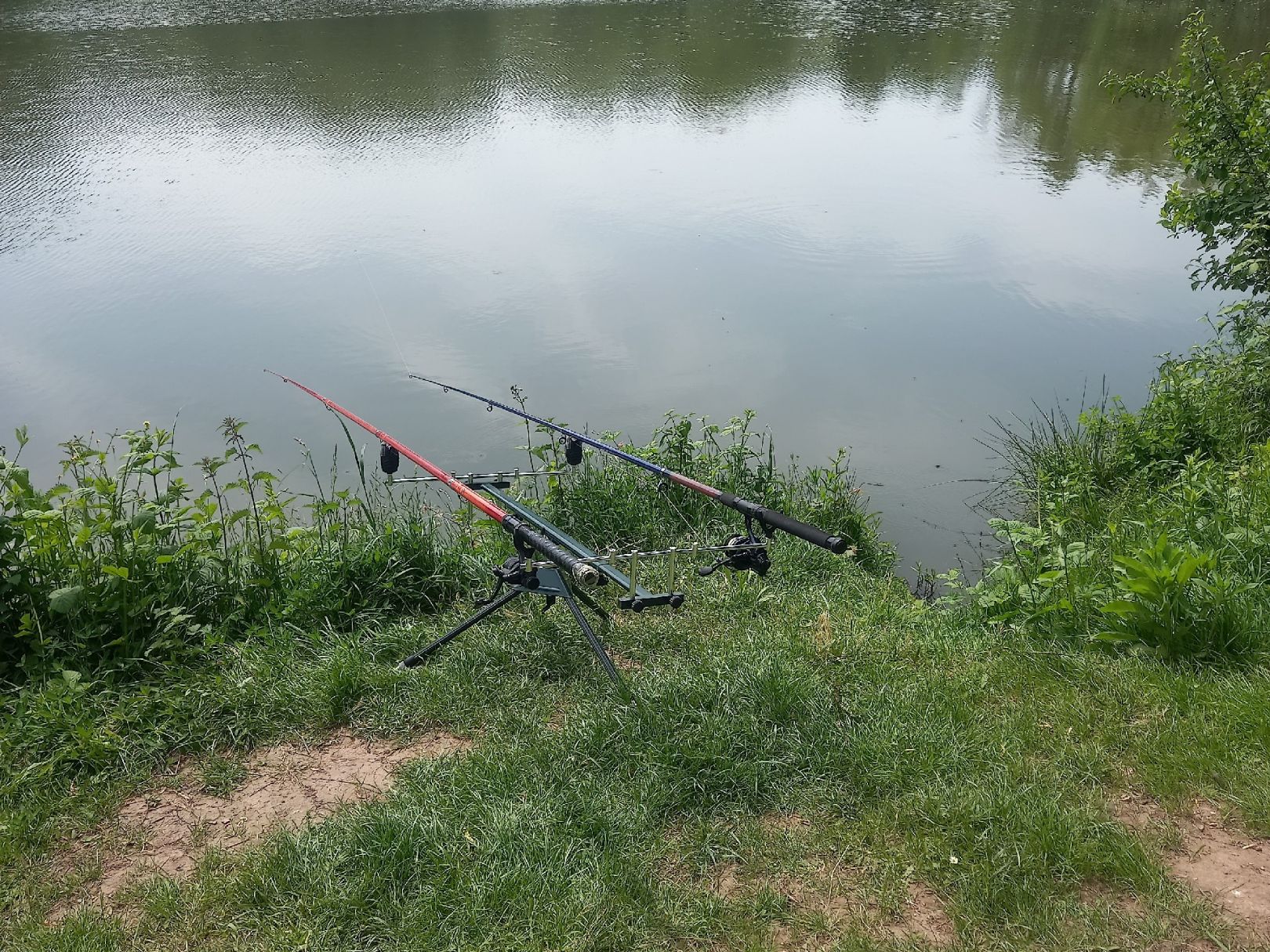 Weiher ASV Wellesweiler angeln