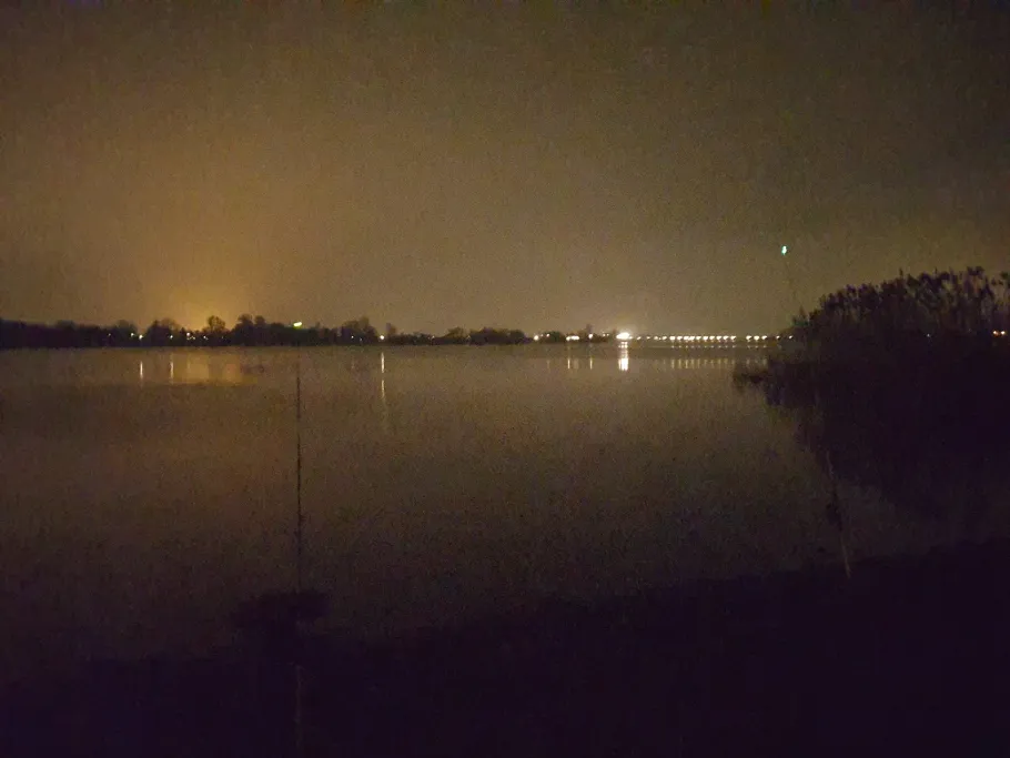 Elbe (Bullenhausen) angeln