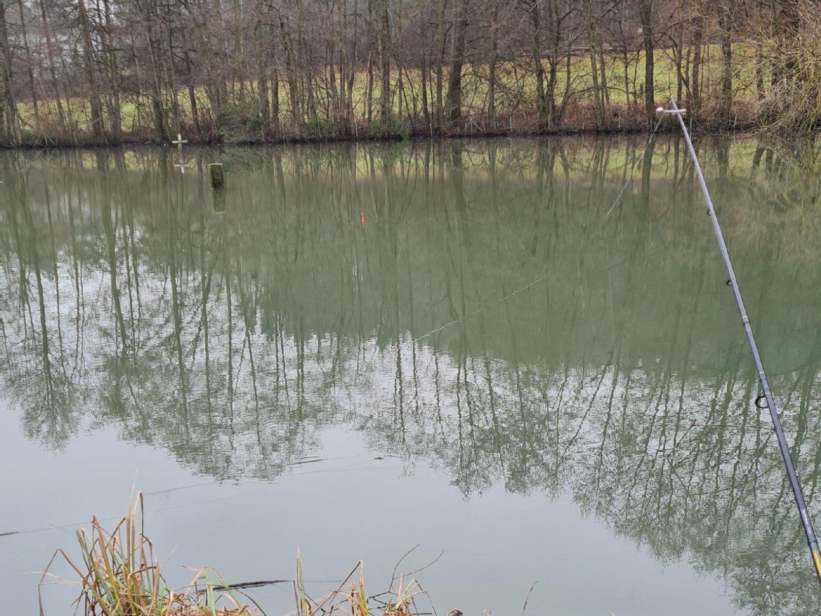 Eisweiher (Hechingen) angeln