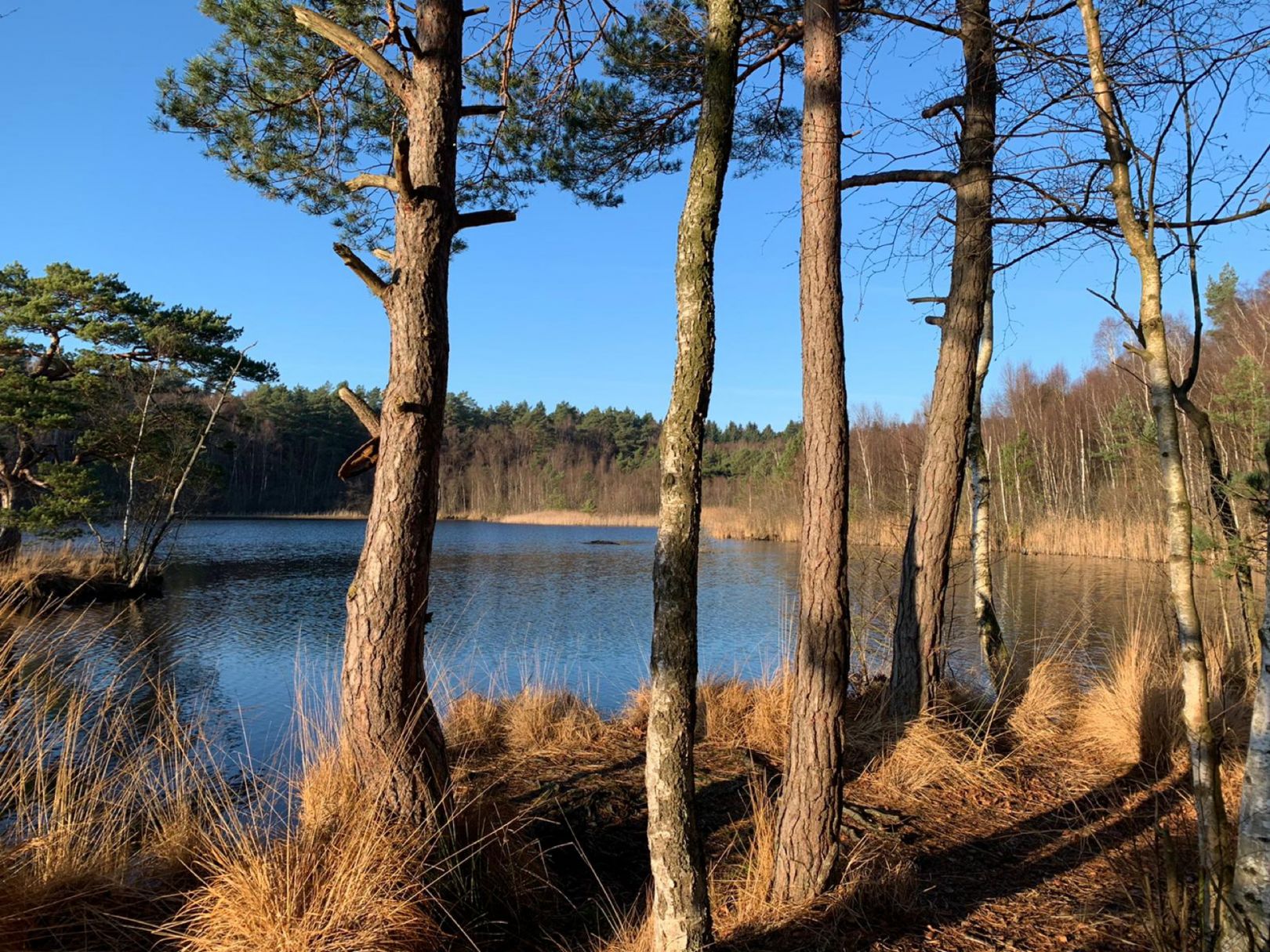 Duvennester Moor angeln