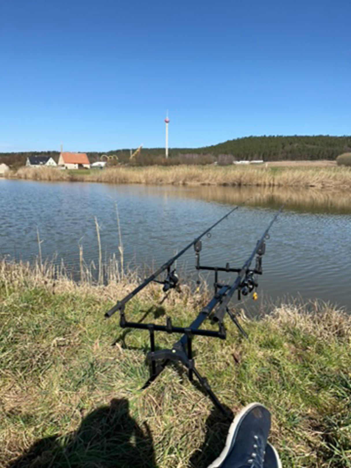 Teich Geiselwind angeln