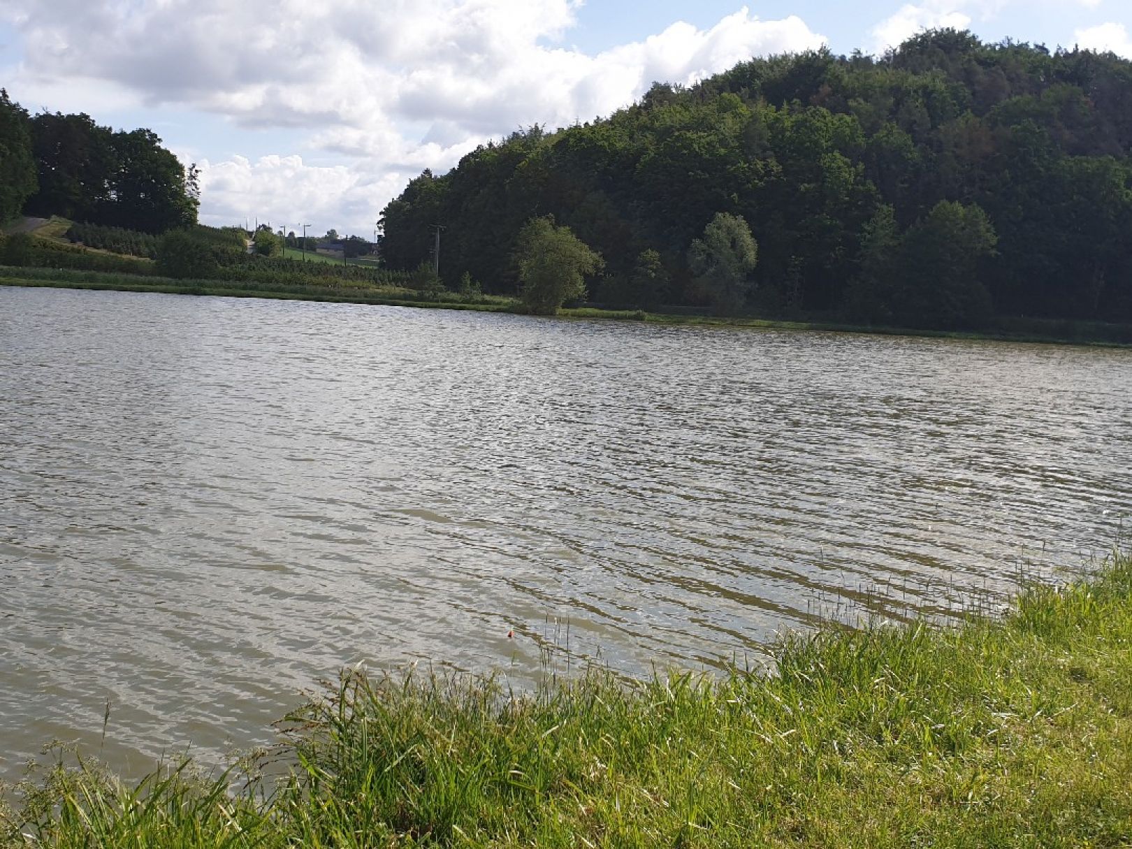 Hausweiher (Oberalbach) angeln