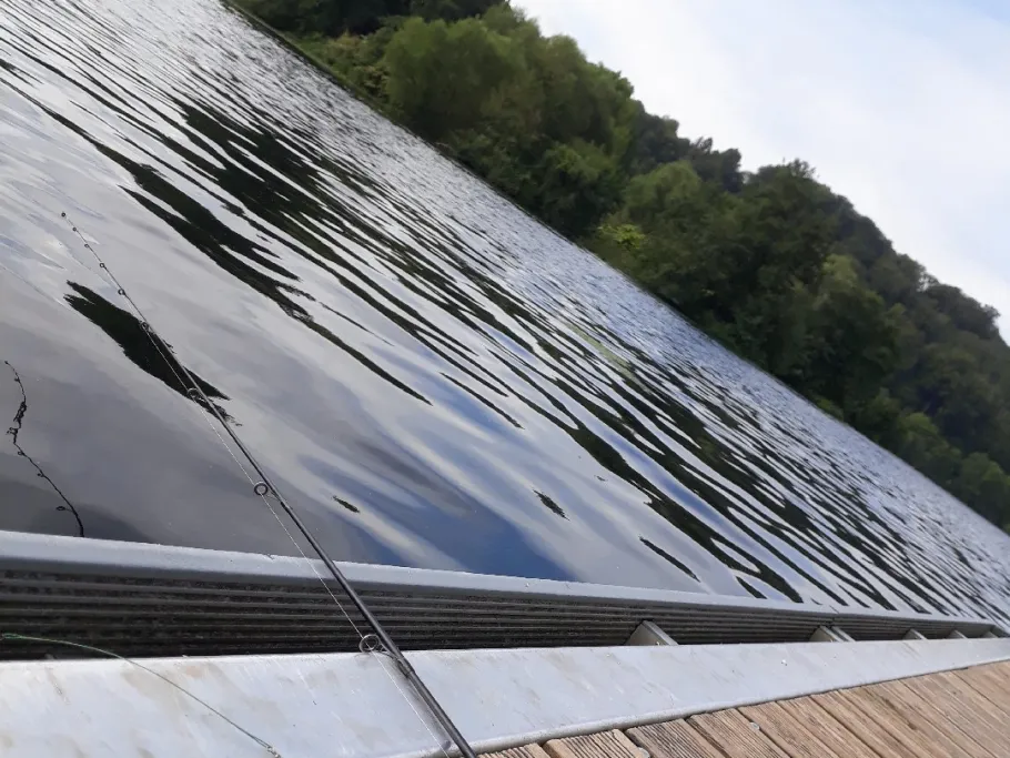 Ruhr (Stiepel)  angeln