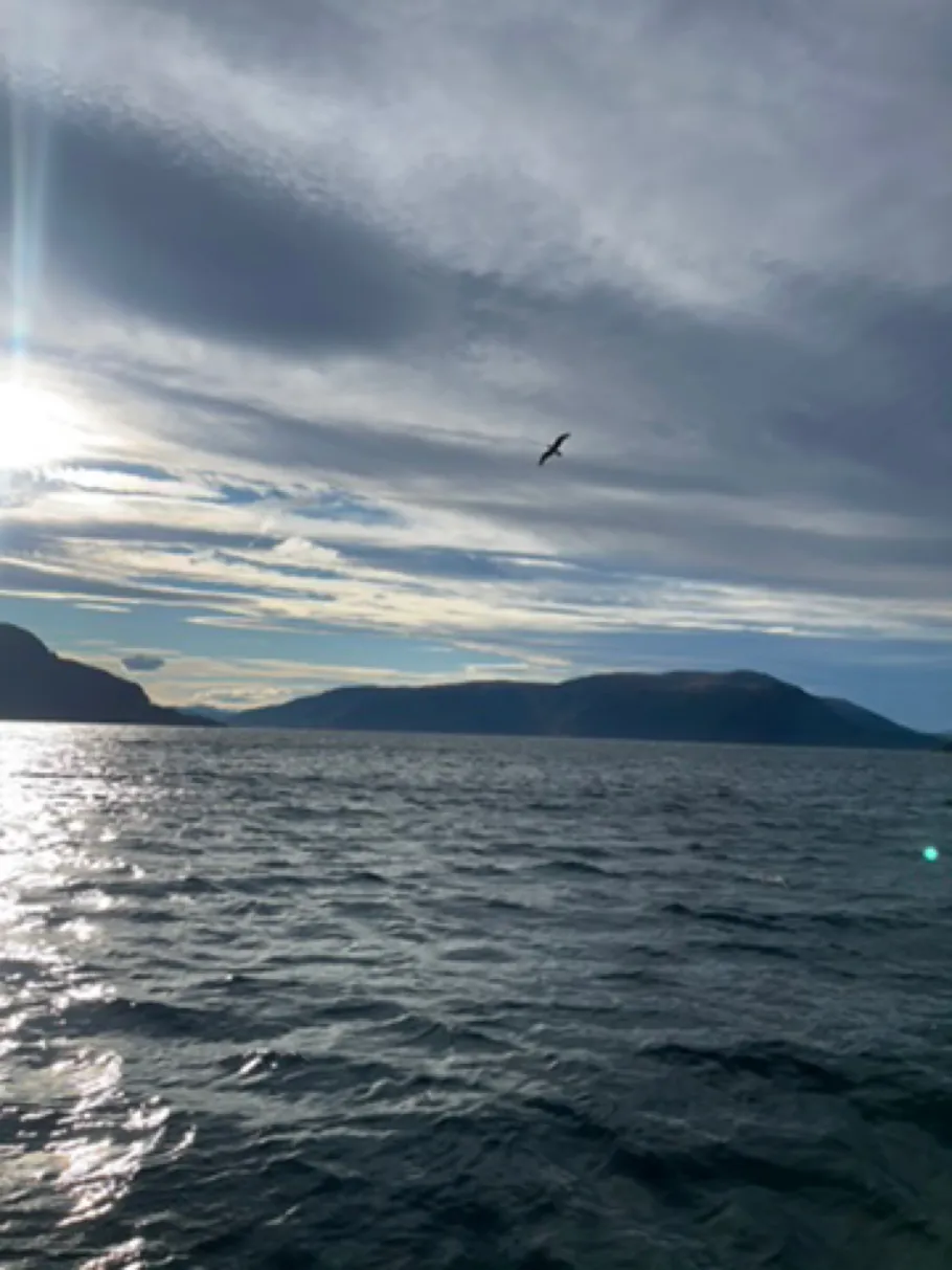 Hemnfjorden angeln