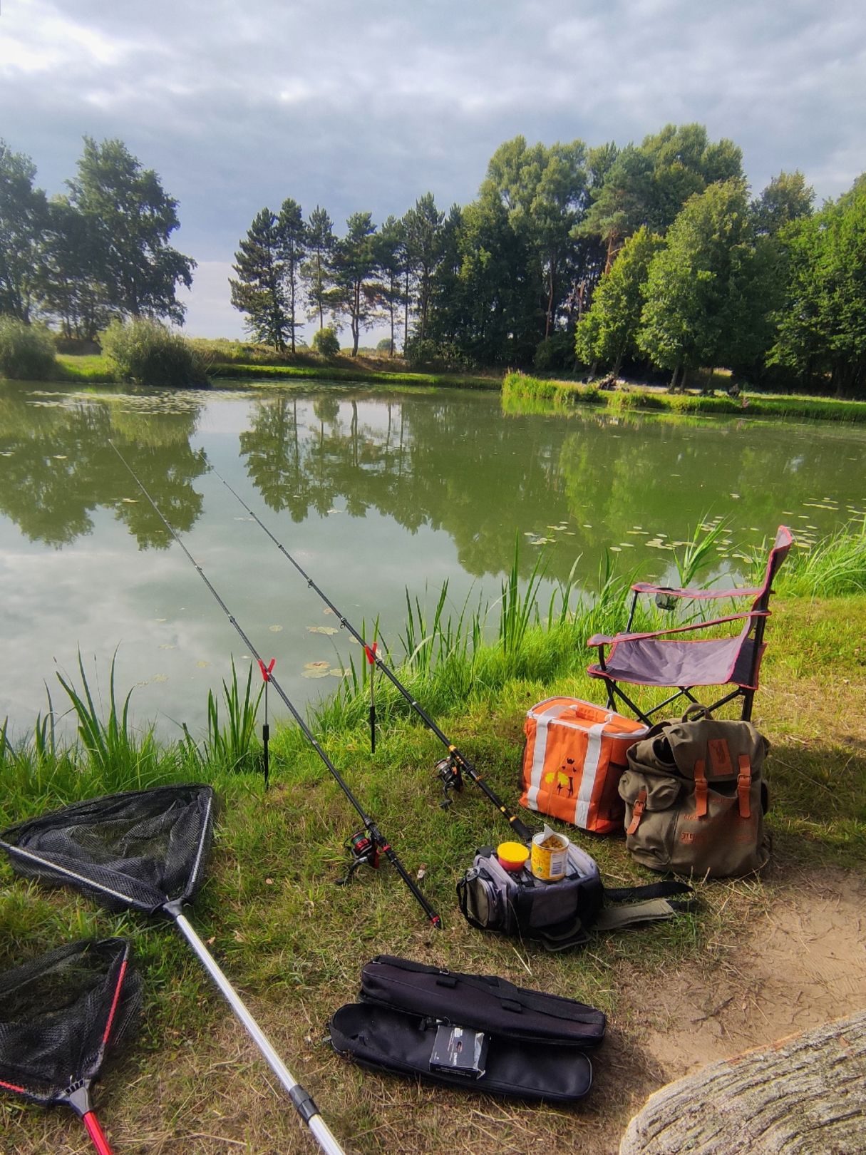 Waldsee Marschacht angeln