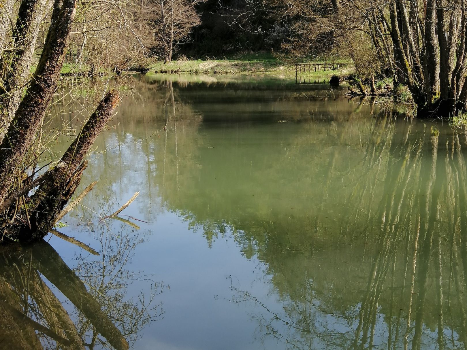 Schwarze Laber (Lupburg) angeln