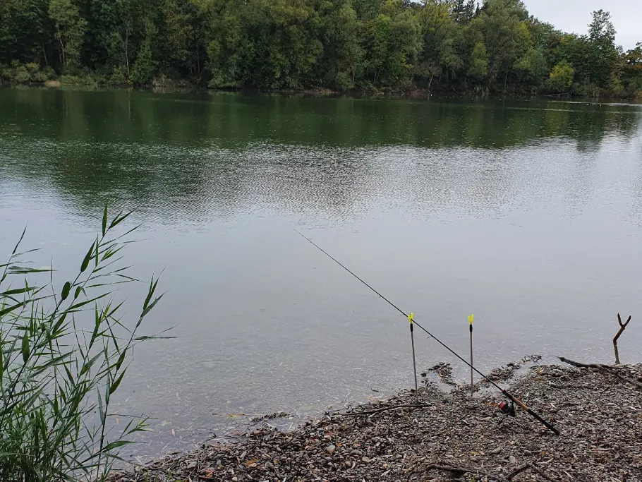 Lechauensee 2 (Sand) angeln
