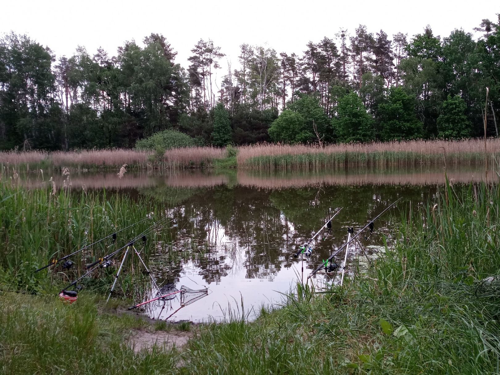 Langes Fenn (Göhlsdorf) angeln