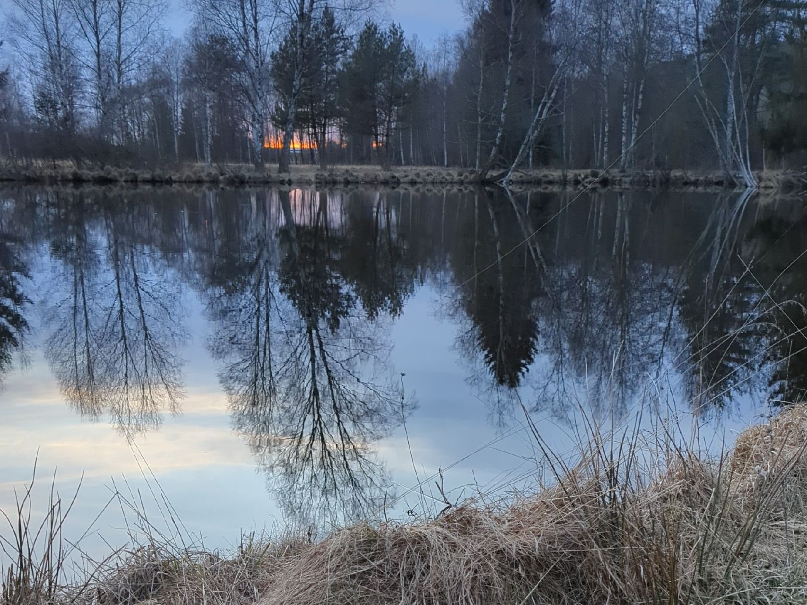 Raffweiher (Blumberg) angeln