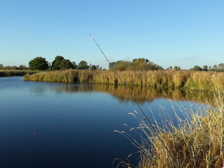 Mühlenbrack (Bandekow) angeln
