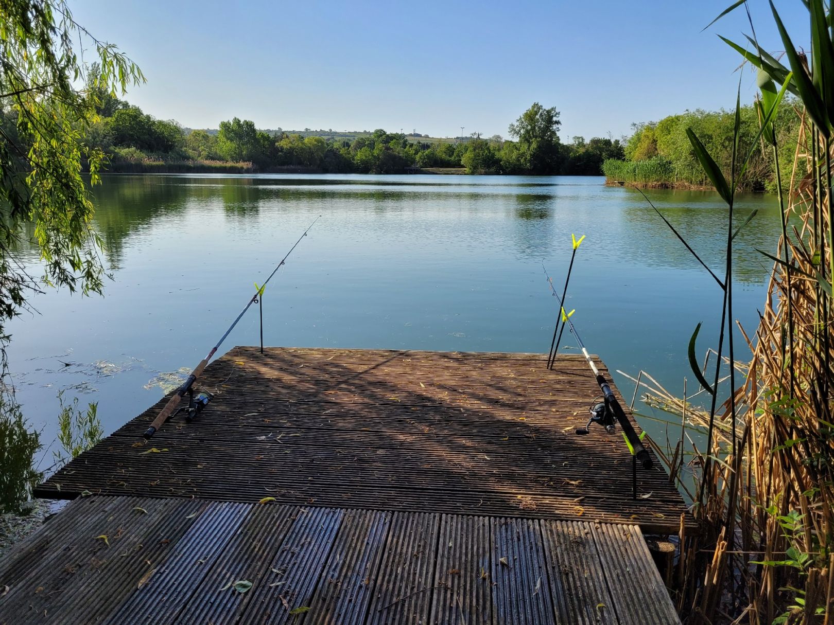 Ikasee (Ingelheim) angeln