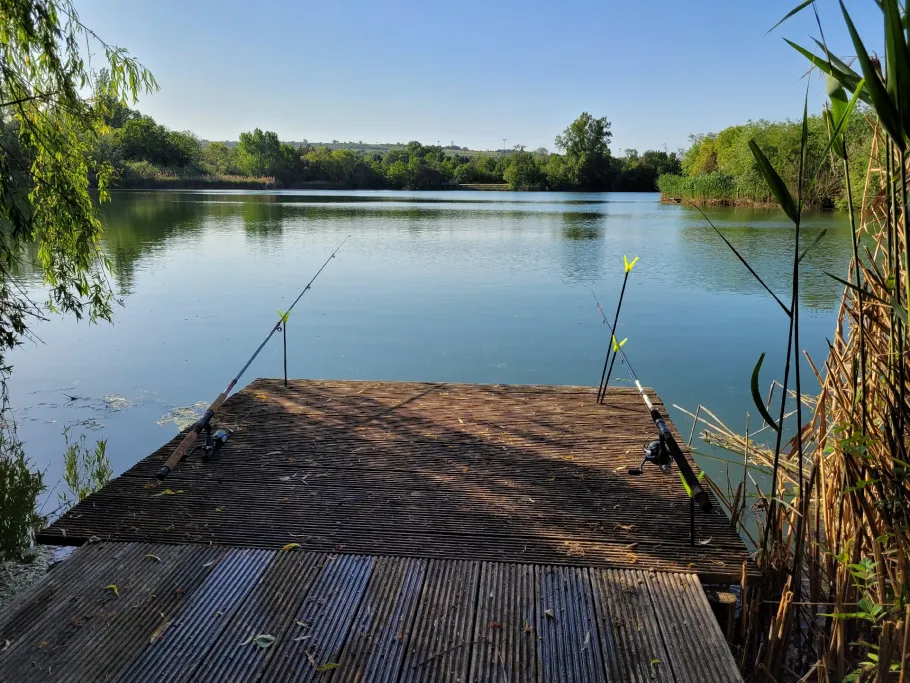 Ikasee (Ingelheim) angeln