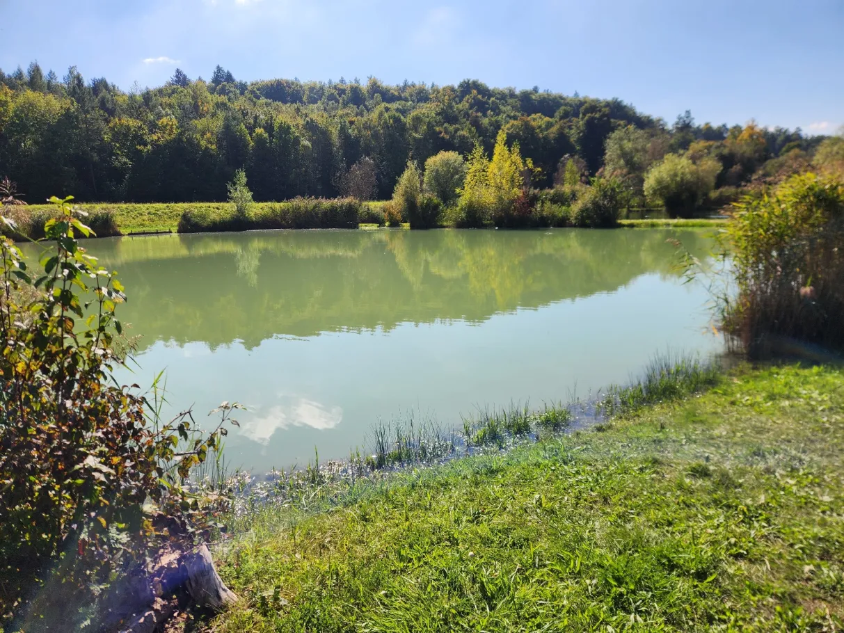 Quellpark Kundelfingerhof angeln