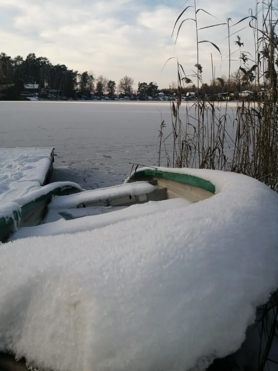 Hauptteich Bad Erna angeln