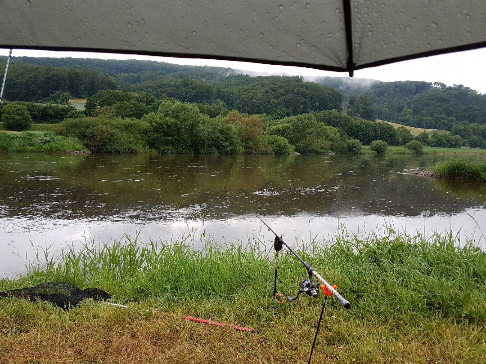 Weser (Bodenwerder-Heinsen) angeln