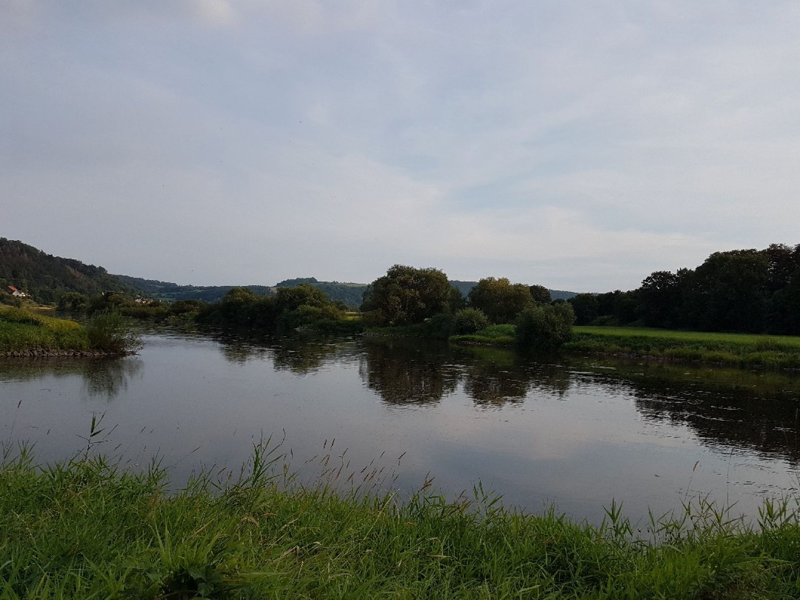 Weser (Bodenwerder-Heinsen) angeln