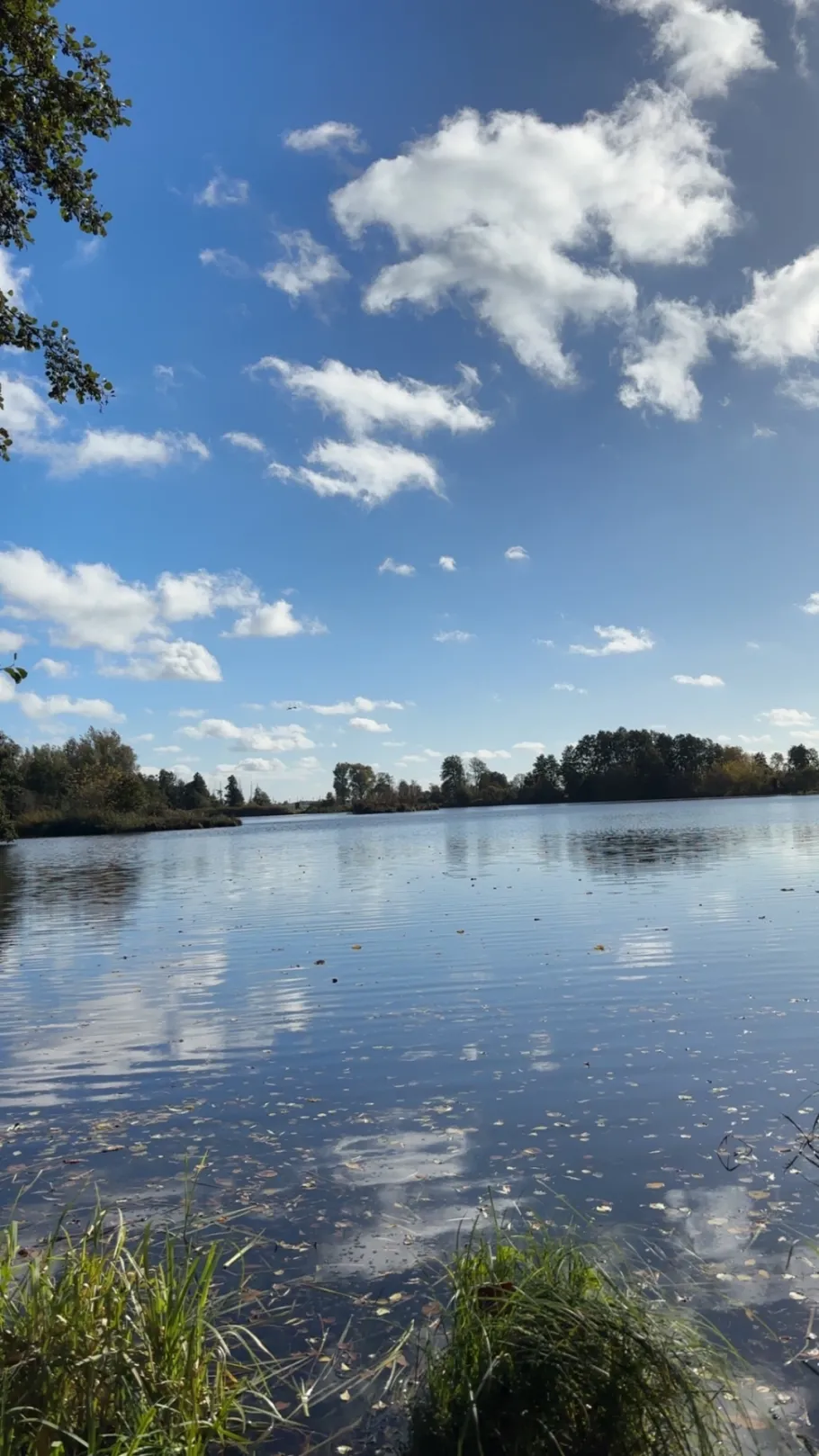Speicher Gollbogen angeln