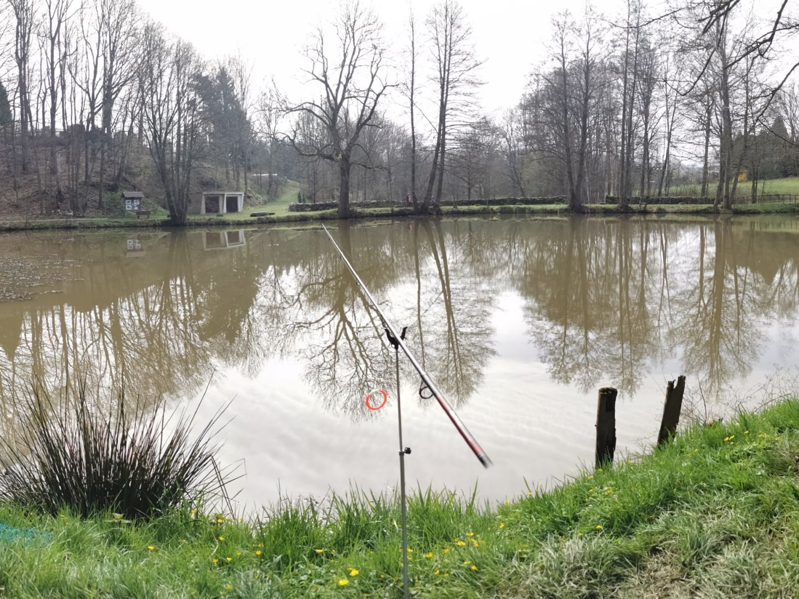 Siedemühlenteich (Hainewalde) angeln