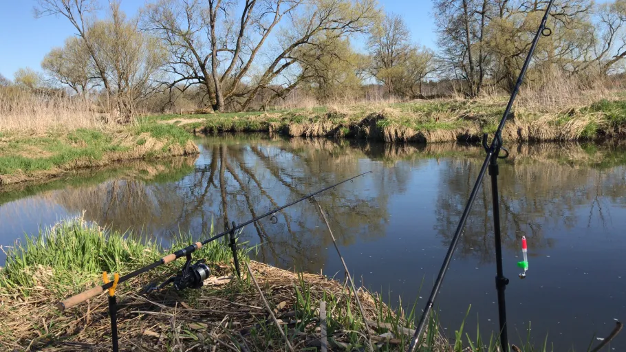 Haidenaab (Dießfurt) angeln