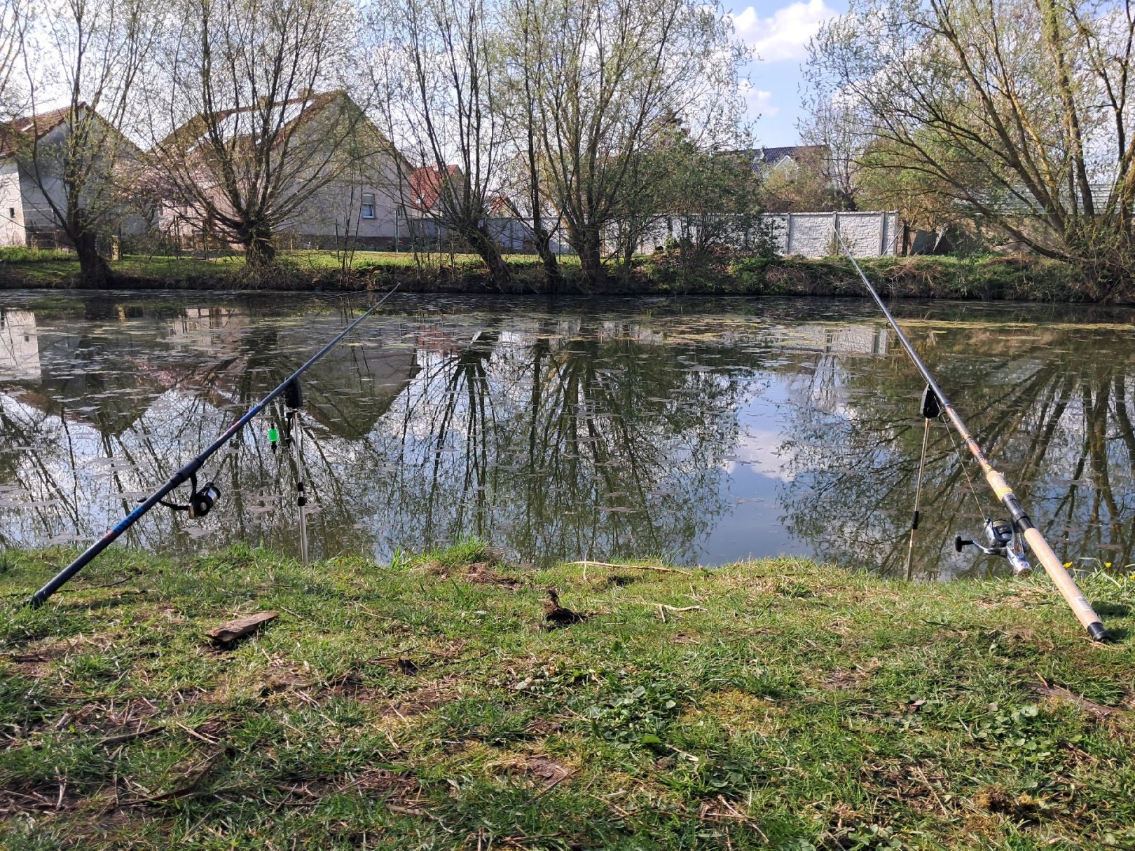 Oberteich Uhrsleben angeln
