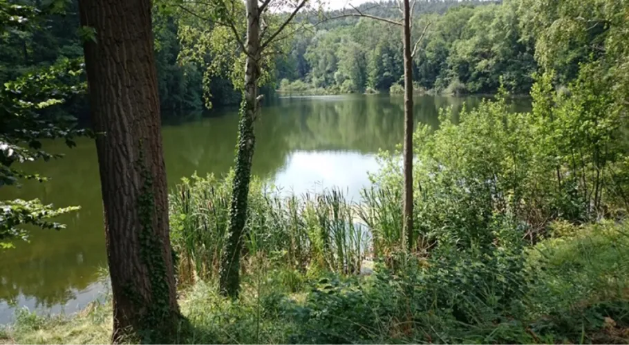 Park-Erdeloch (Deetz) angeln