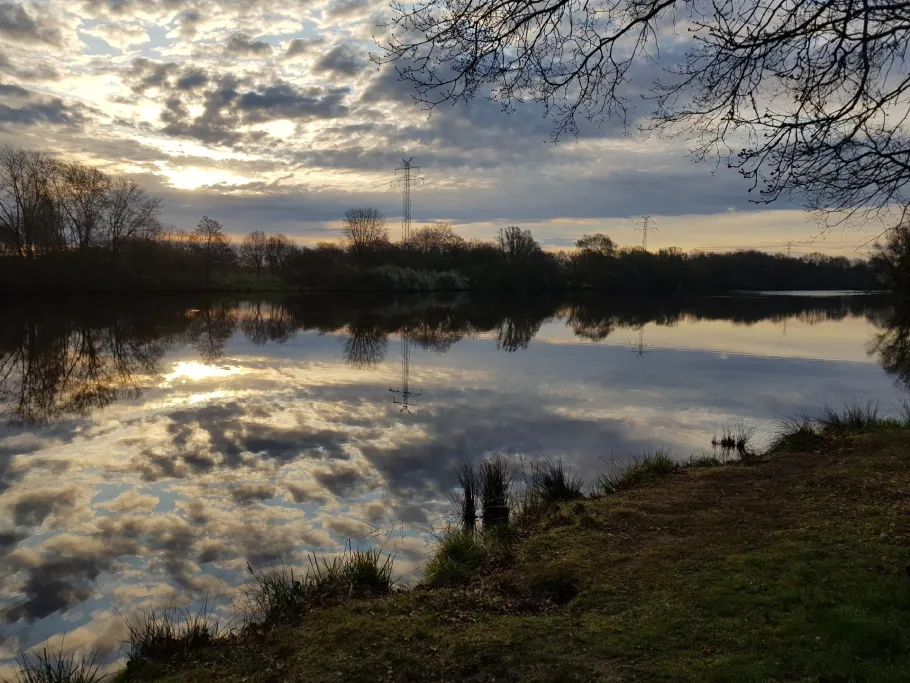 Drielaker See angeln