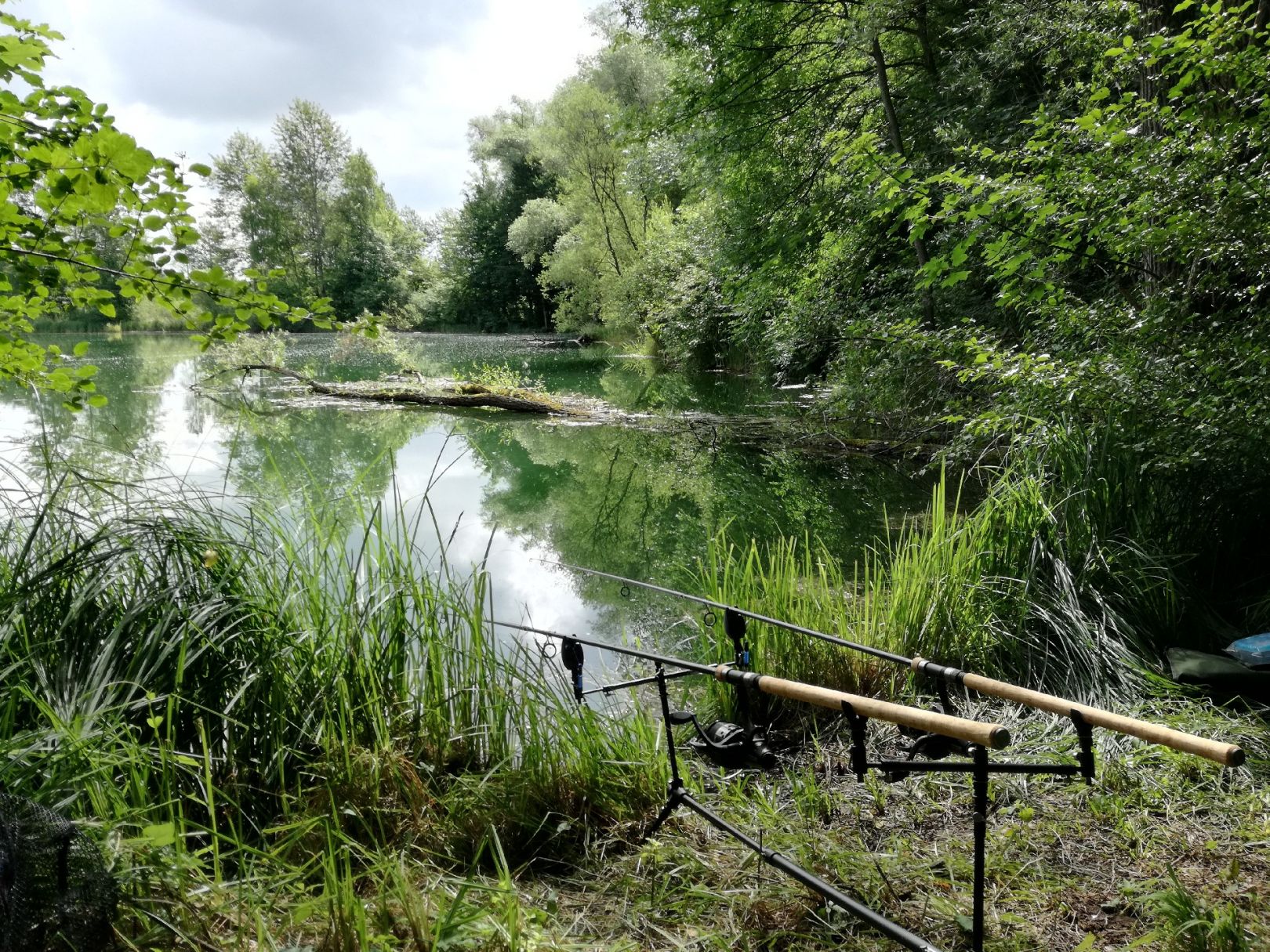 Waaghausweiher angeln