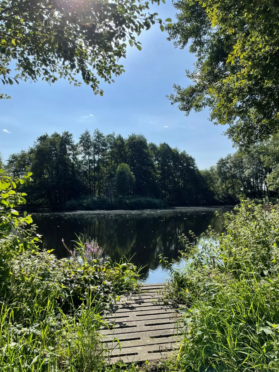 Teich Viehbrock angeln