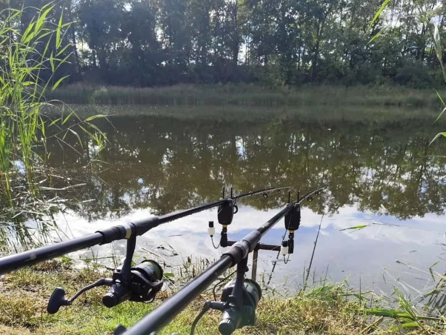 Schafsee (Lietzen) angeln