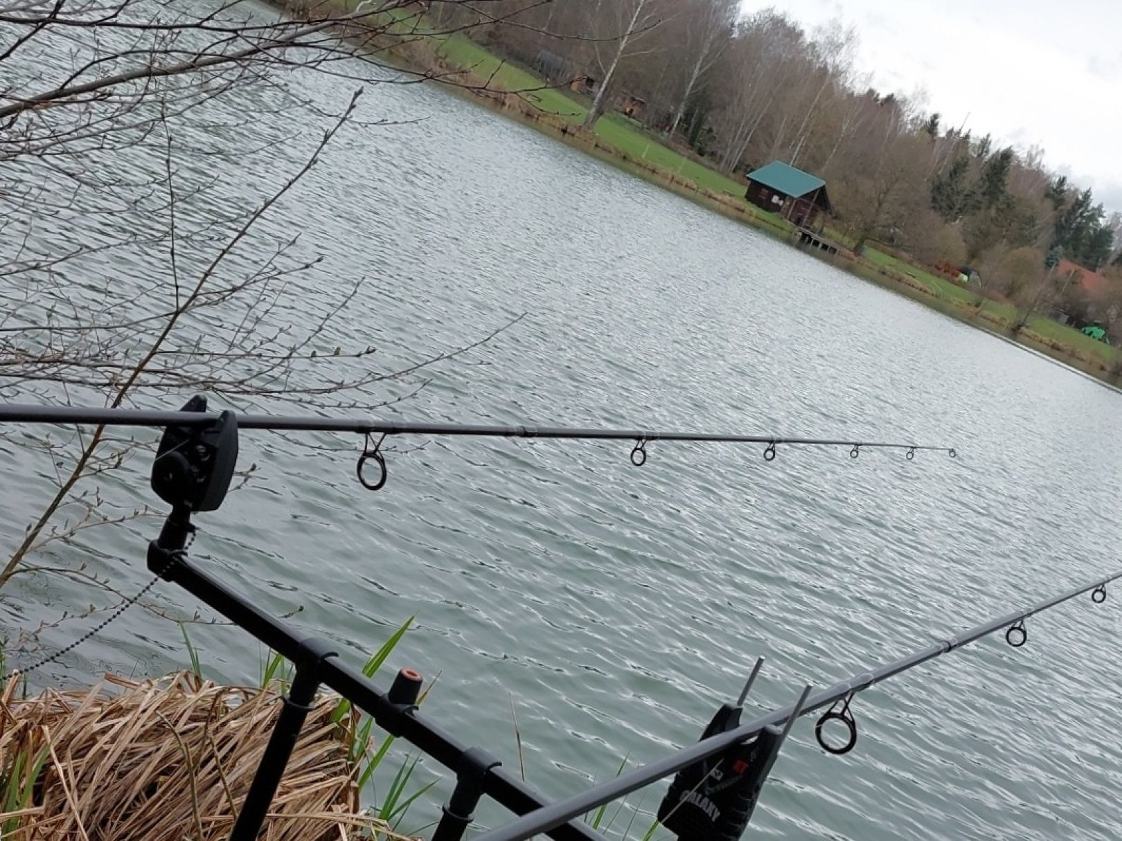 Erlensee (Lain am See) angeln