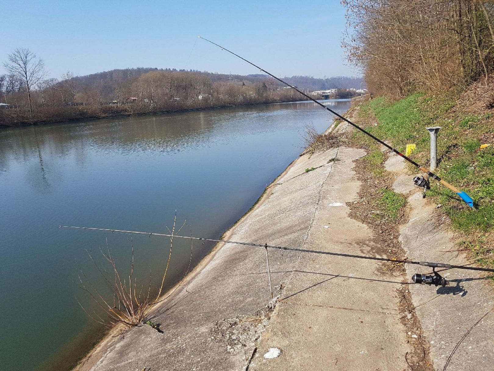 Neckar (Esslingen am Neckar) angeln