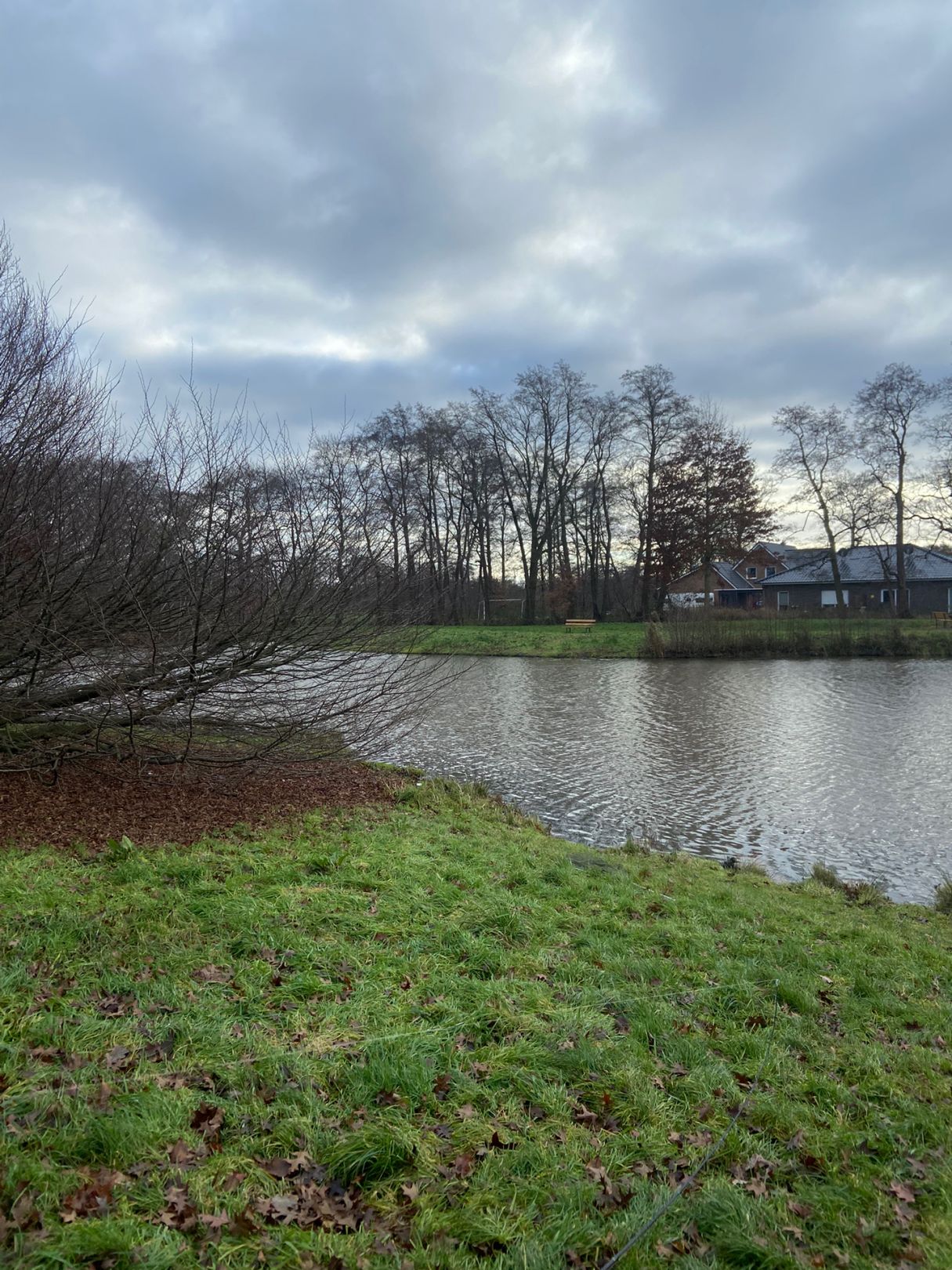 Regenrückhaltebecken Altenoythe angeln