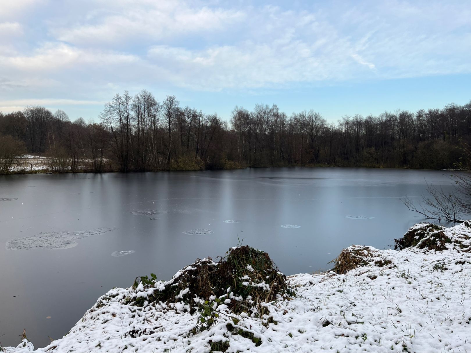 Teichwiesenteiche Volksdorf angeln