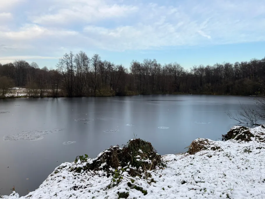 Teichwiesenteiche Volksdorf angeln