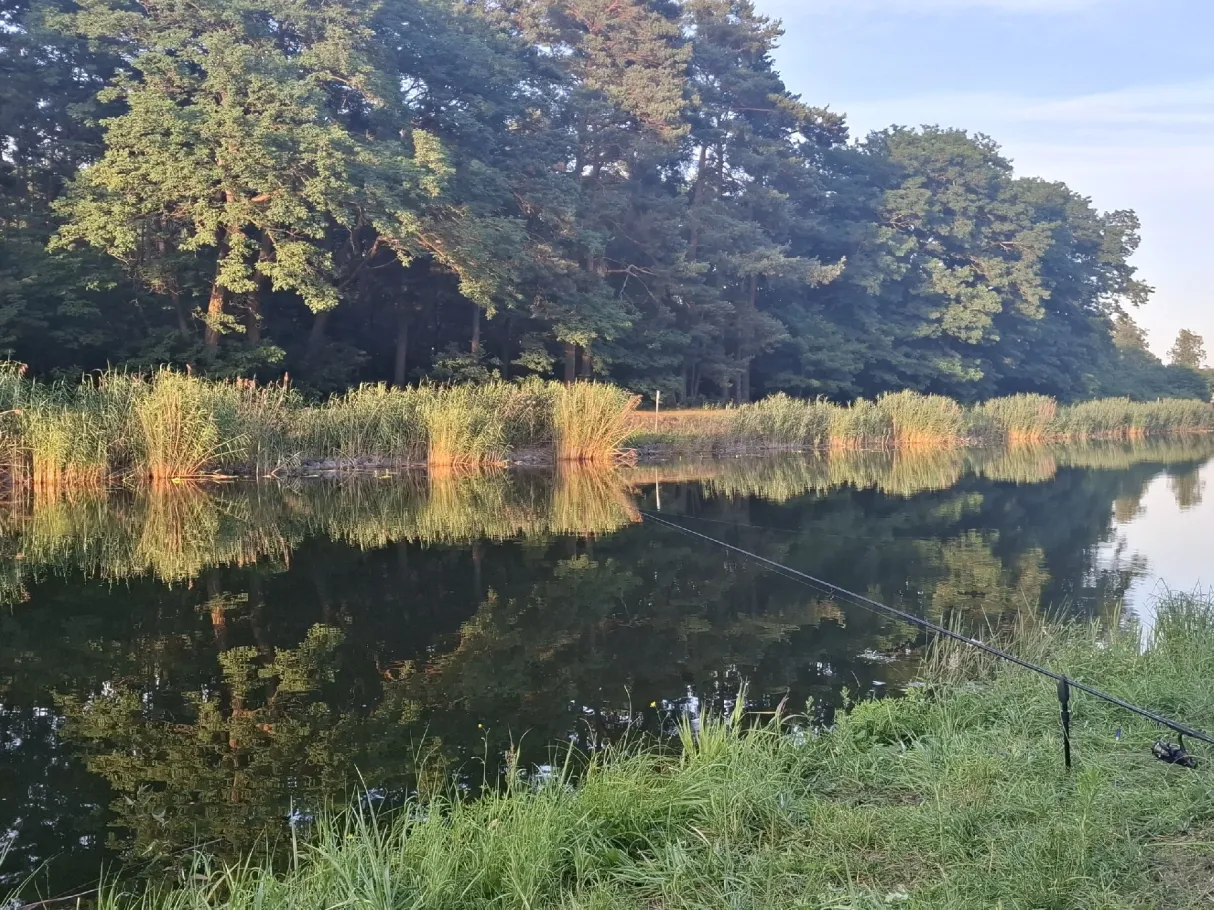 Oder-Spree-Kanal (Groß Lindow) angeln