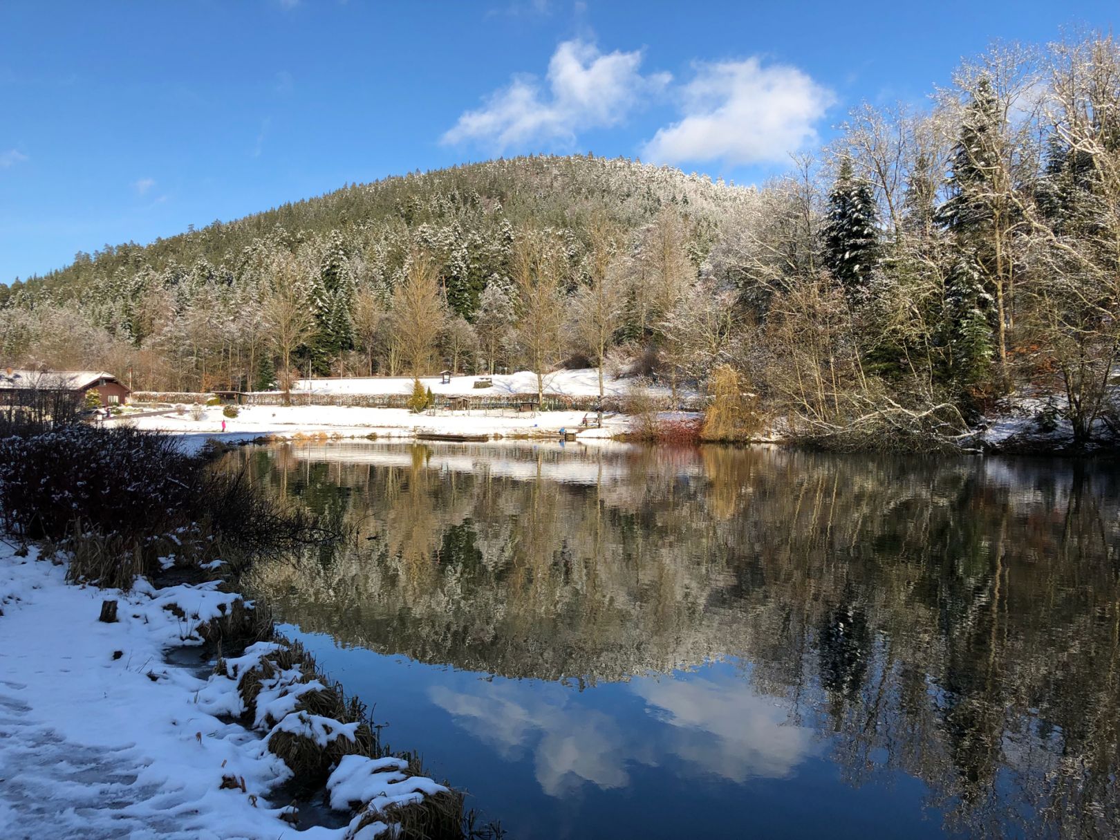 Forellenpark Kleinenztal ALLE ANGELN