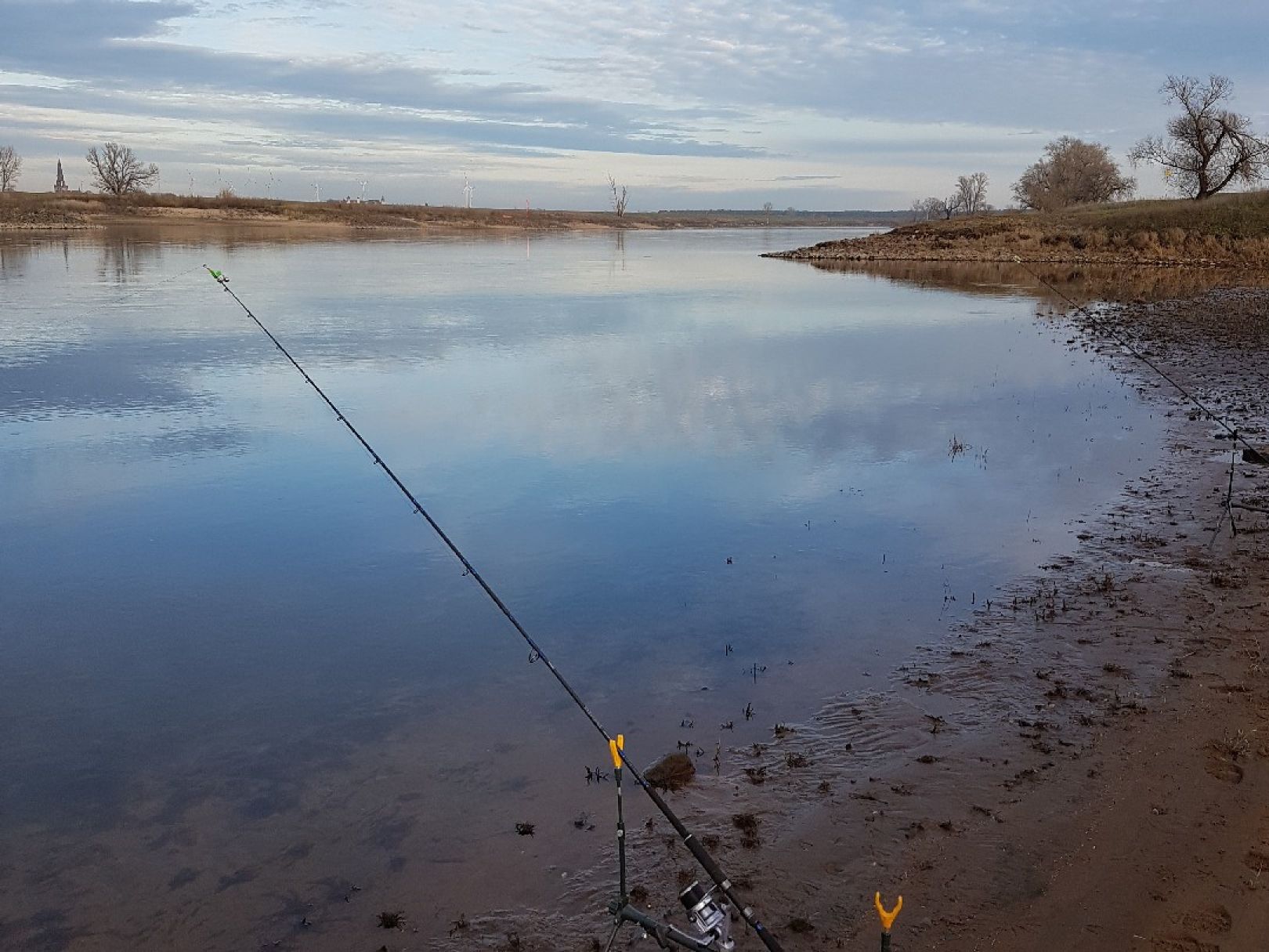 Elbe (Dommitzsch/Prettin) angeln