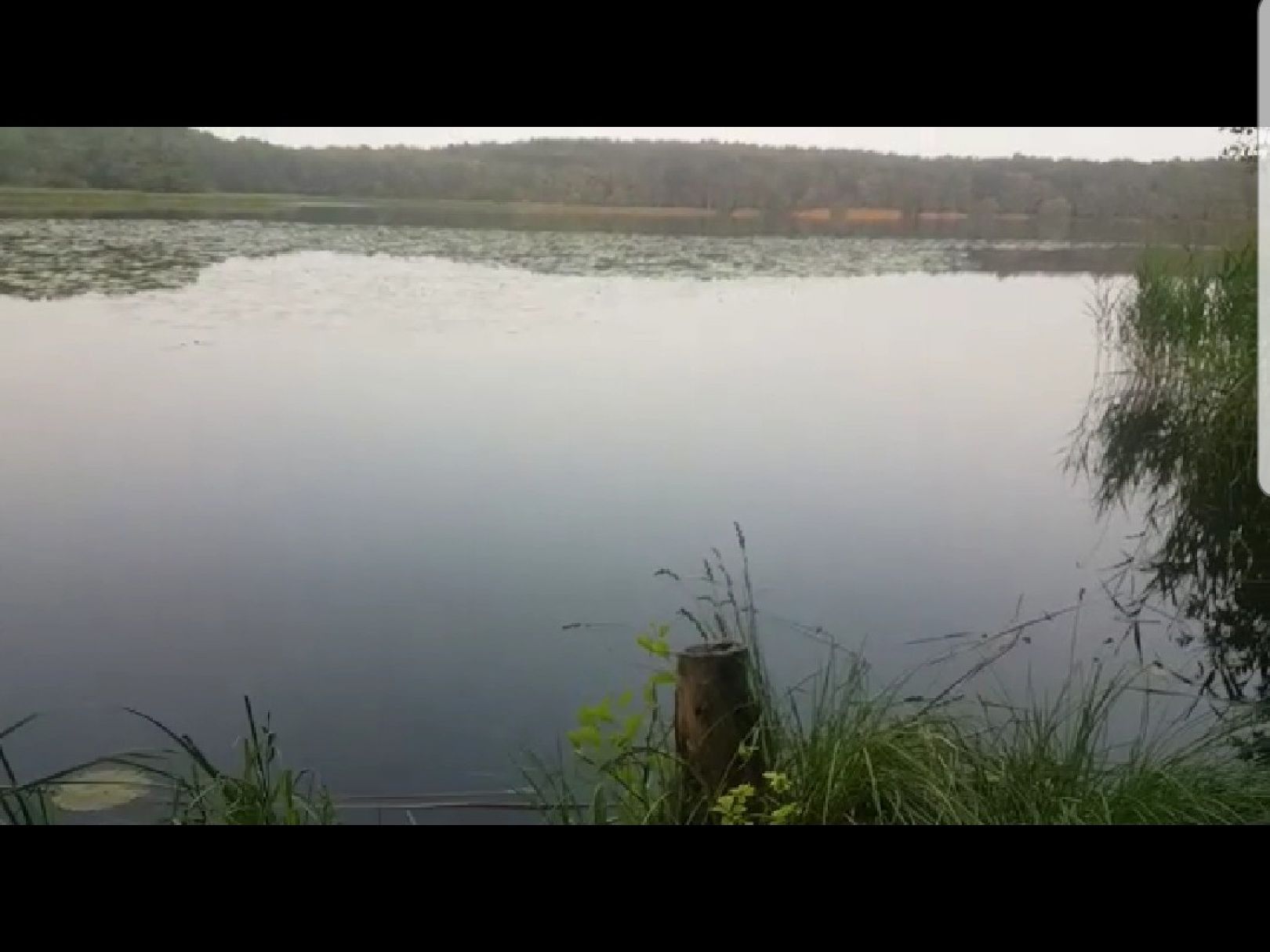Wockersee (Parchim) angeln