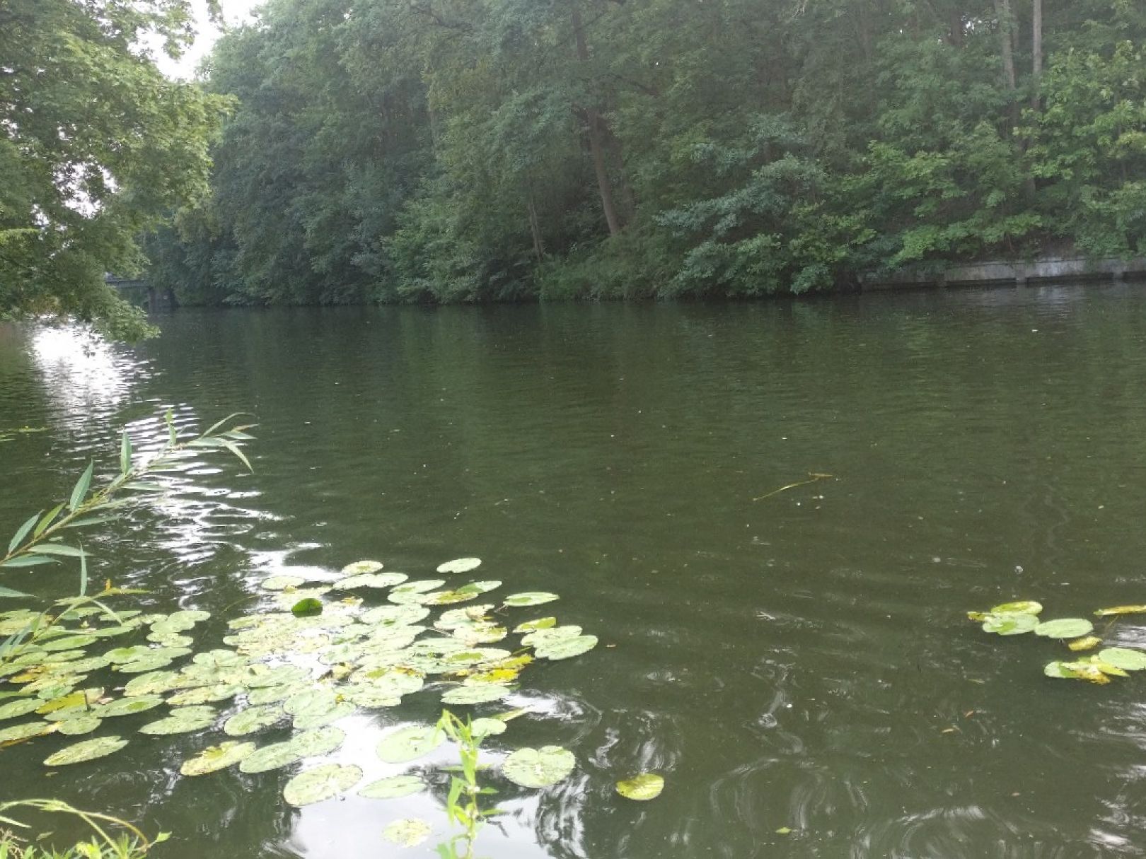 Barmbeker Stichkanal (Hamburg-Barmbek) angeln