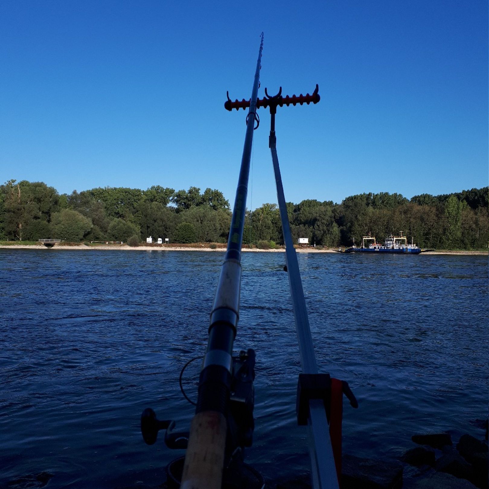 Angeln in Au am Rhein