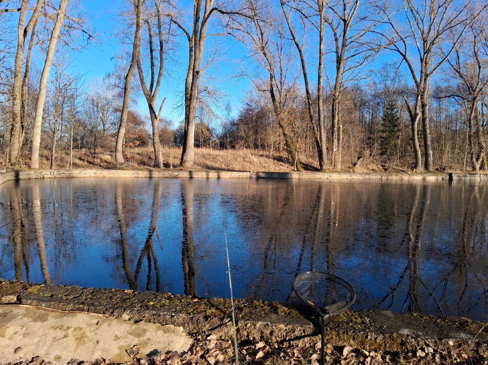 Vereinsgewässer AV Schlettau an der Zschopau angeln