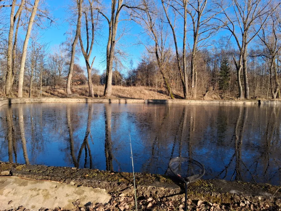 Vereinsgewässer AV Schlettau an der Zschopau angeln