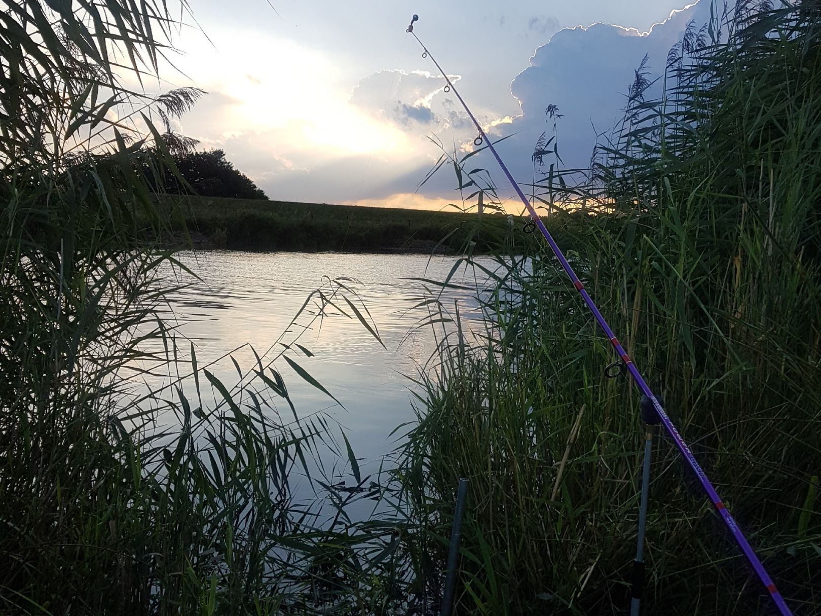 Oste (Brobergen-Kranenburg) angeln