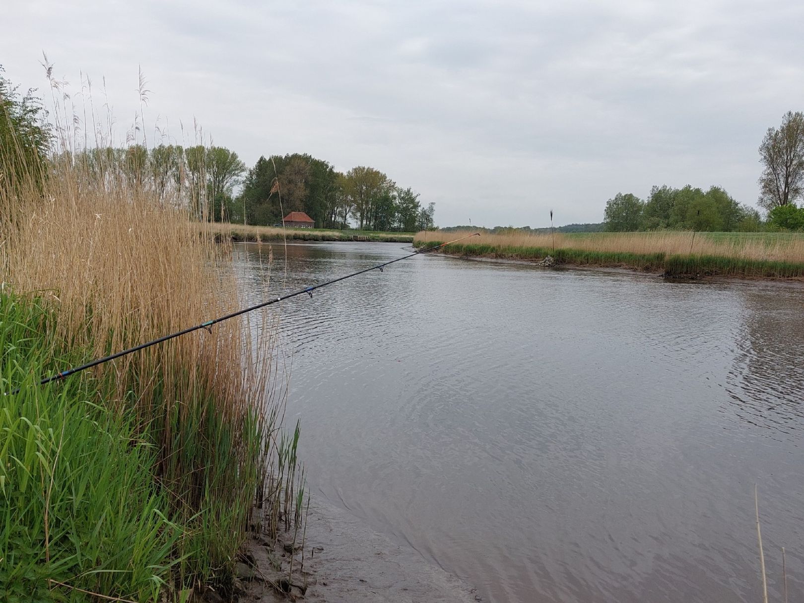 Oste (Brobergen-Kranenburg) angeln