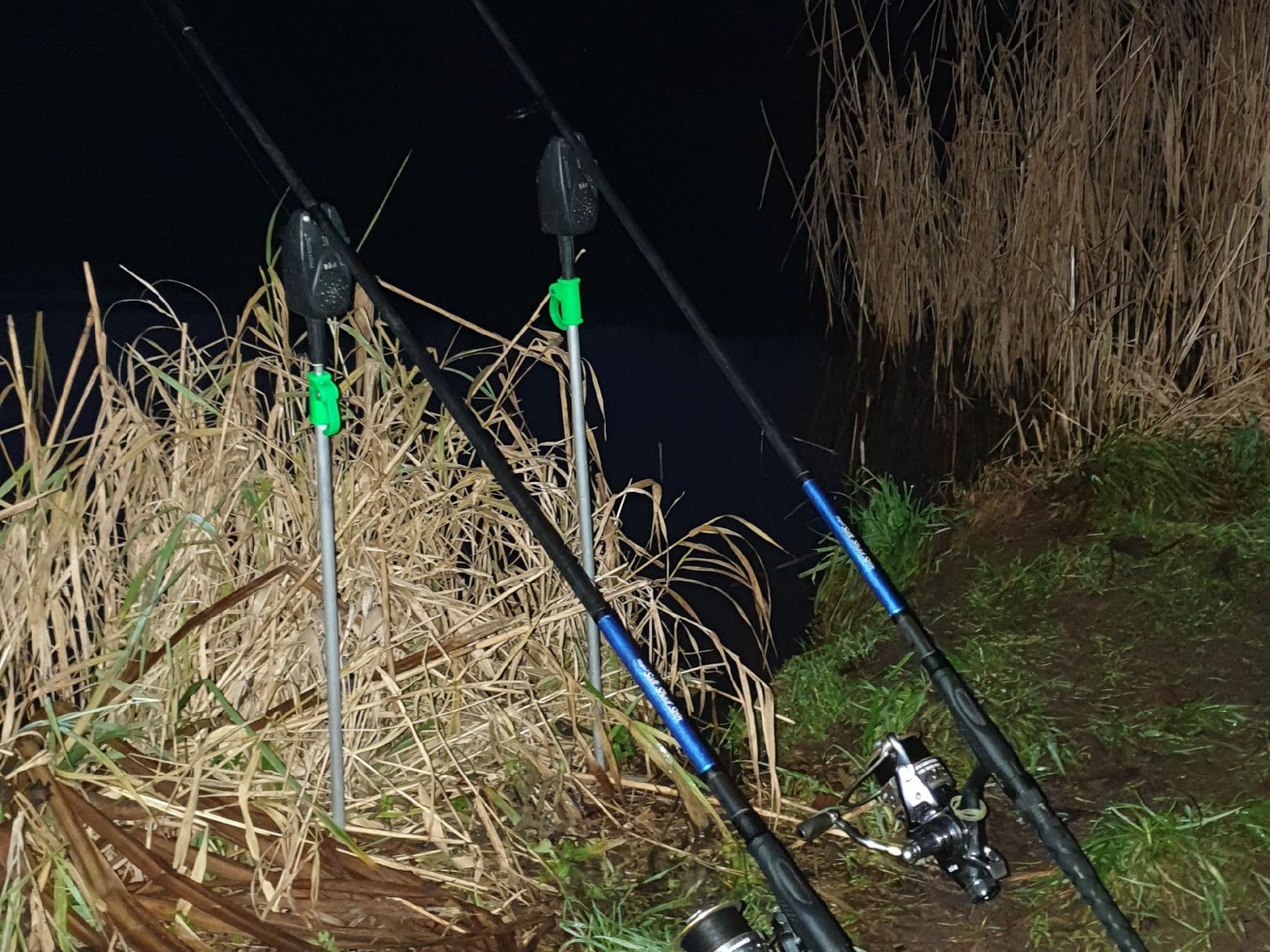 Main (Lohr am Main) angeln